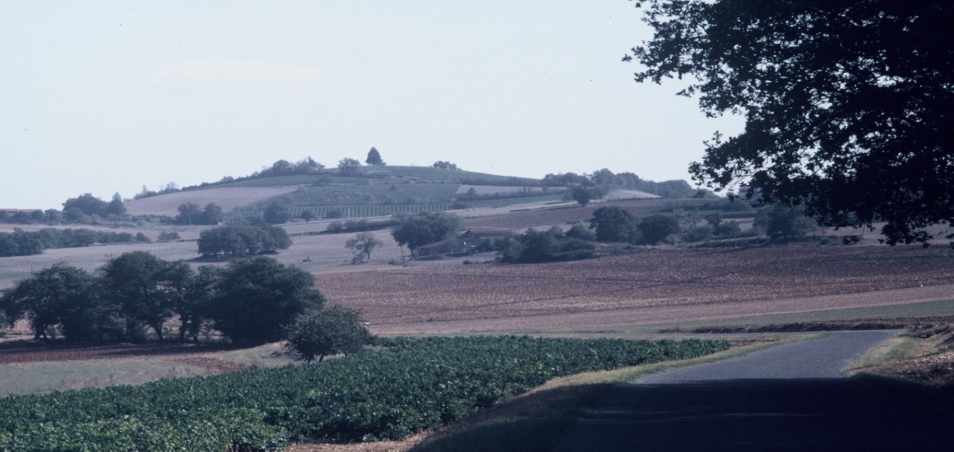F1000005